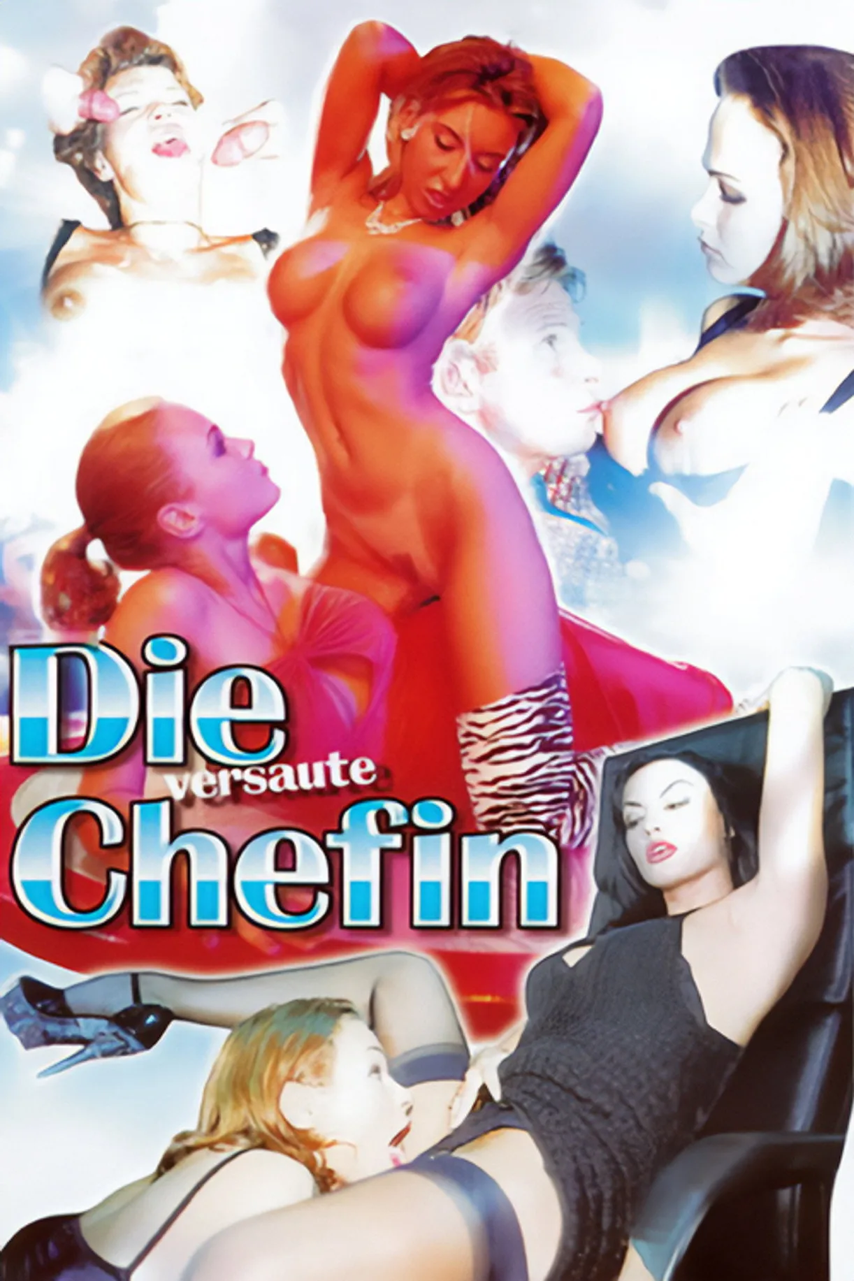 فيلم Die versaute Chefin 1999 للكبار فقط اون لاين 1999