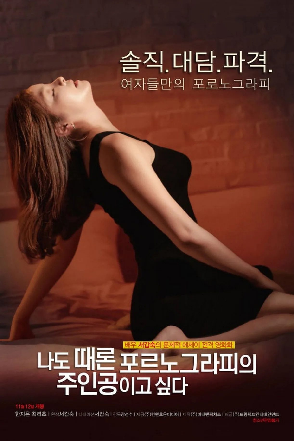 فيلم Sometimes I Want to Be a Porn Star 2015 مترجم اون لاين 2015