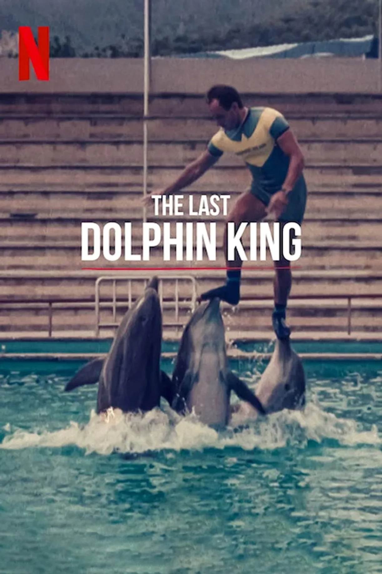 شاهد فيلم The Last Dolphin King 2022 مترجم اون لاين HD 2022