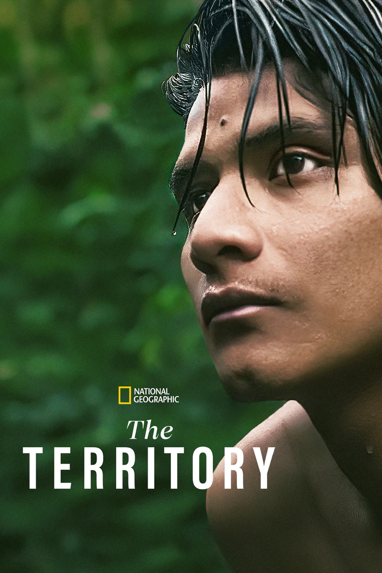 فيلم The Territory 2022 مترجم اون لاين HD 2022