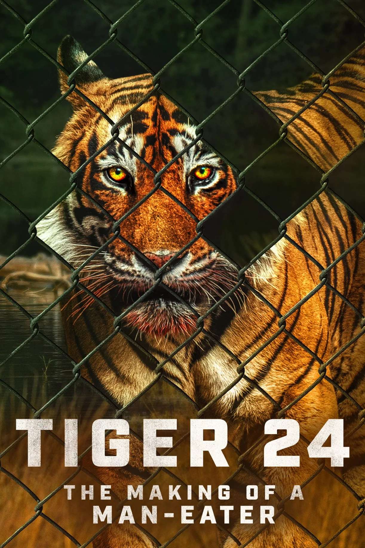 فيلم Tiger 24 2022 مترجم اون لاين HD 2022