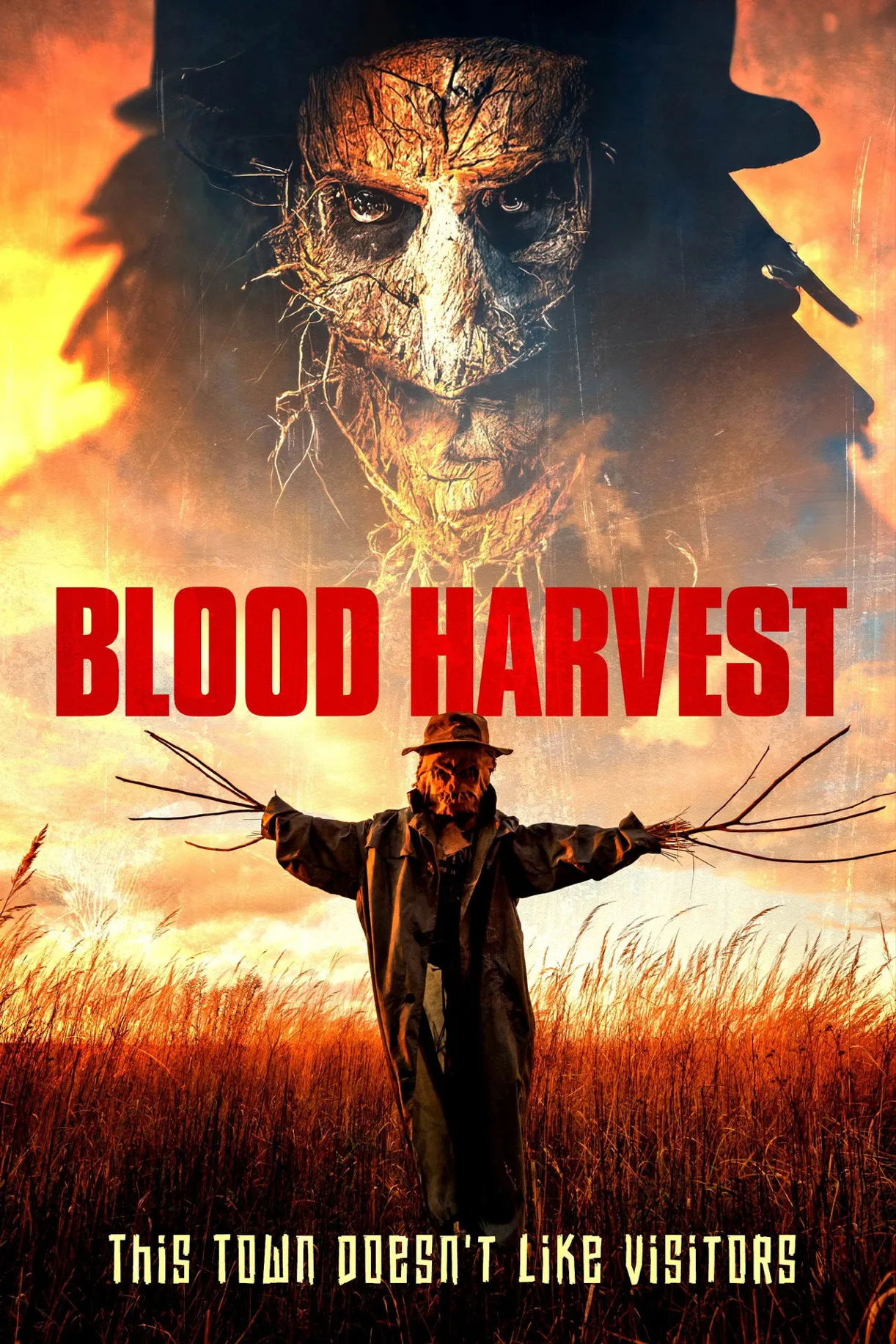 فيلم Blood Harvest 2023 مترجم اون لاين HD 2023