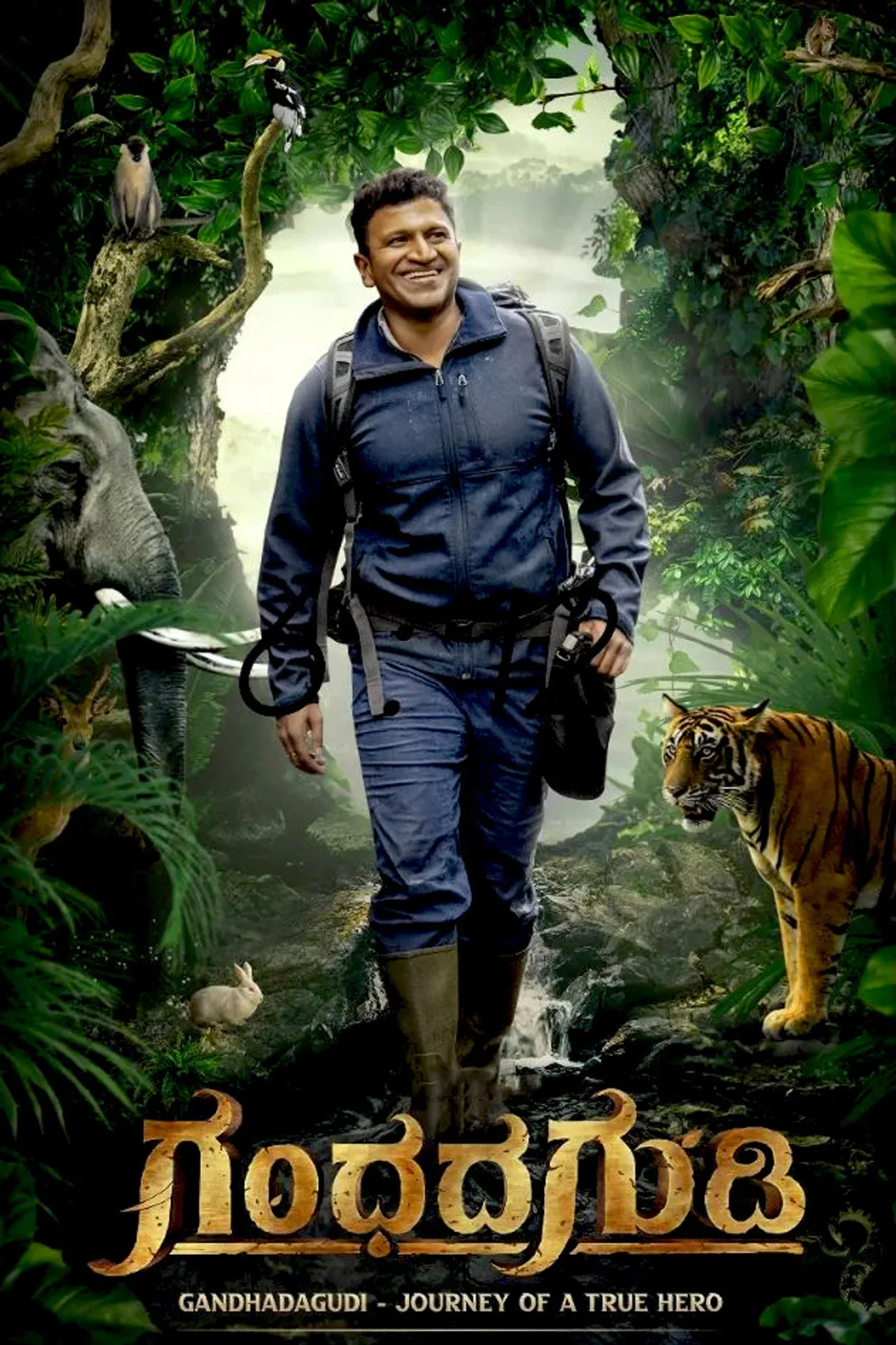 فيلم Gandhada Gudi 2022 مترجم اون لاين 2022