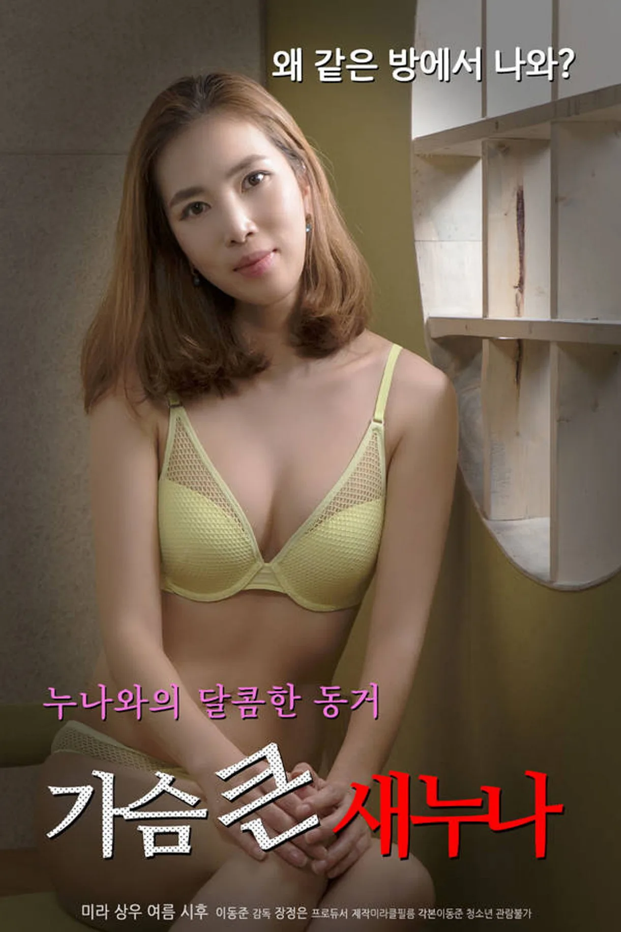 فيلم Big Breasts Sister 2020 للكبار فقط اون لاين 2020