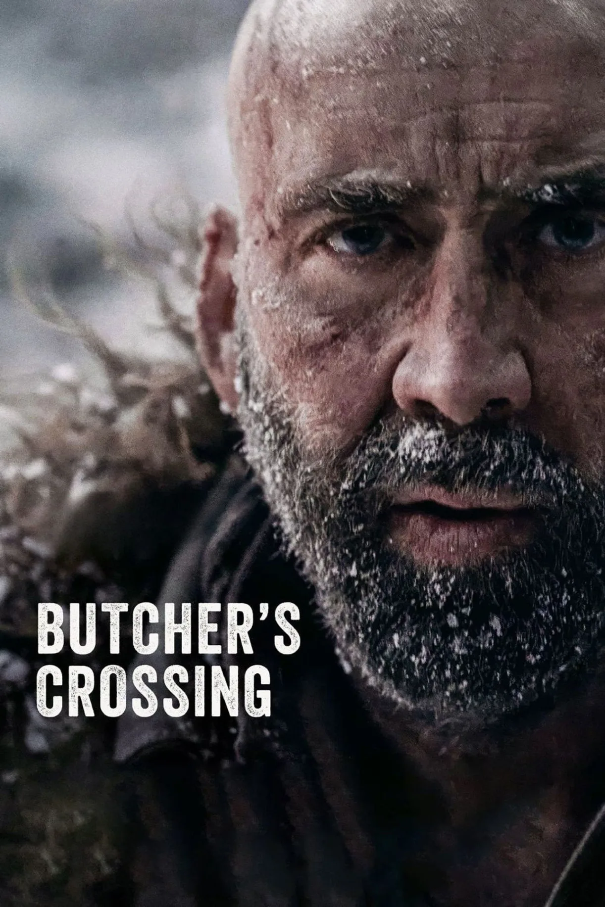 فيلم Butcher’s Crossing 2022 مترجم اون لاين 2023
