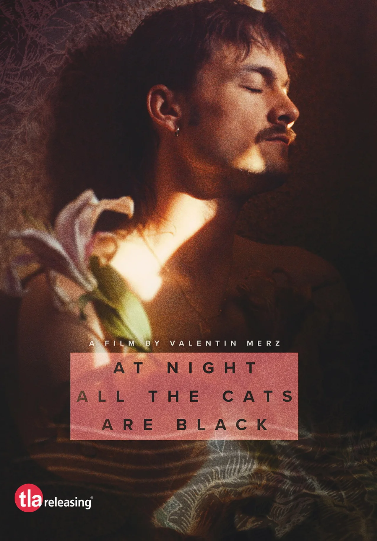 فيلم At Night All the Cats Are Black 2022 مترجم اون لاين 2023