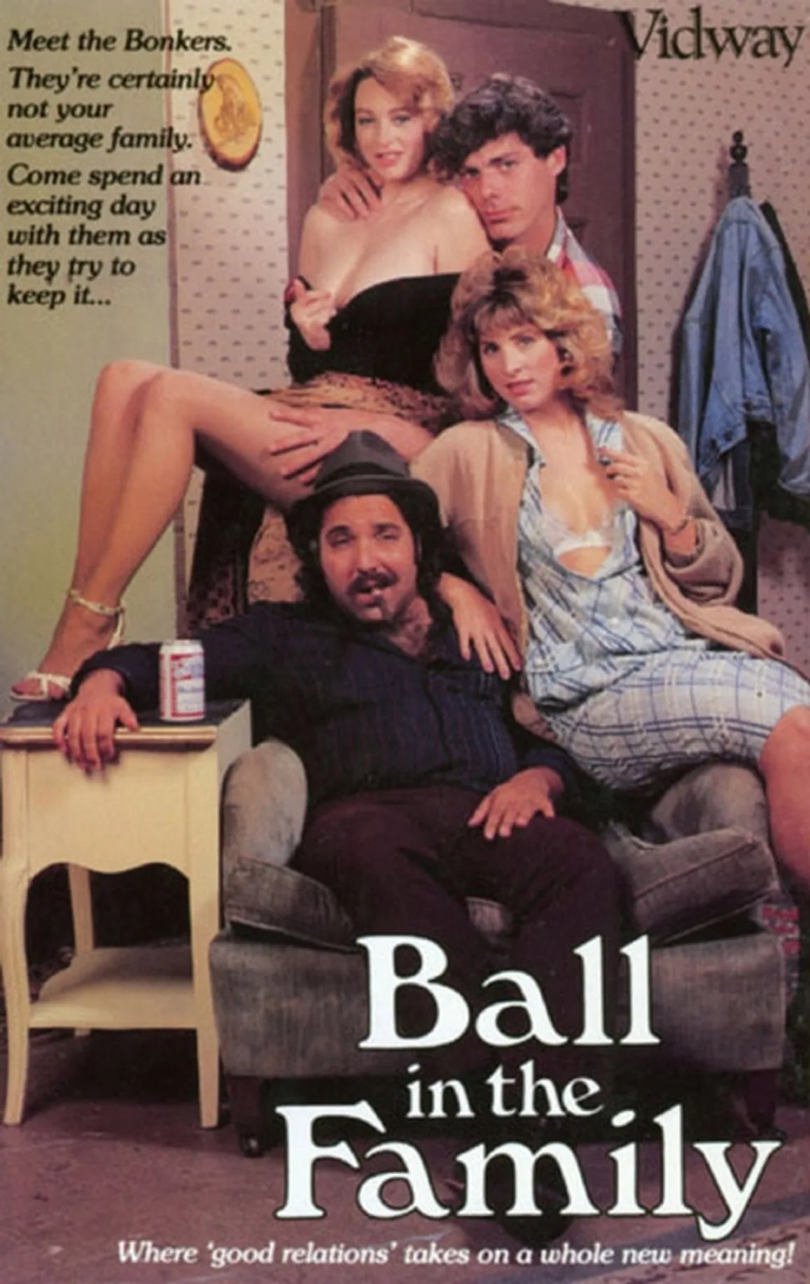فيلم Ball in the Family 1988 للكبار فقط اون لاين 1988
