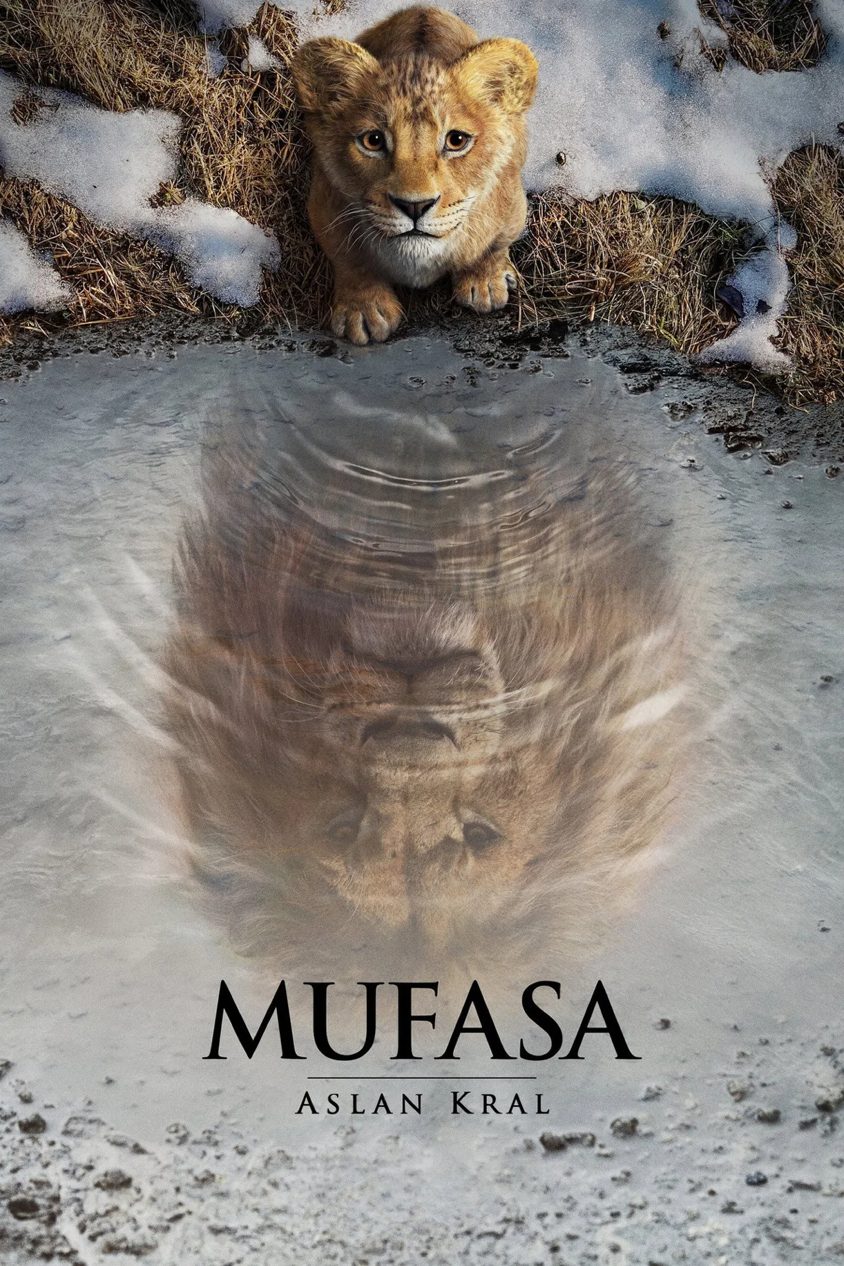 فيلم Mufasa: The Lion King 2024 مترجم اون لاين 2024