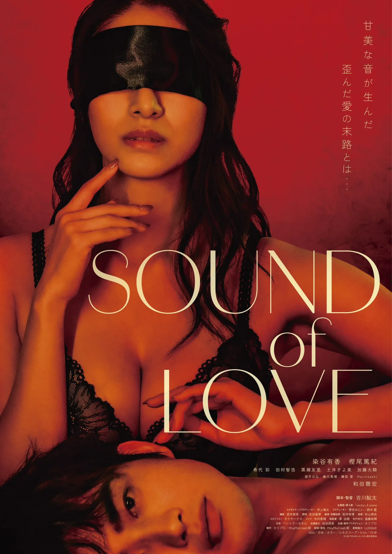فيلم SOUND of LOVE 2024 للكبار فقط اون لاين 2024