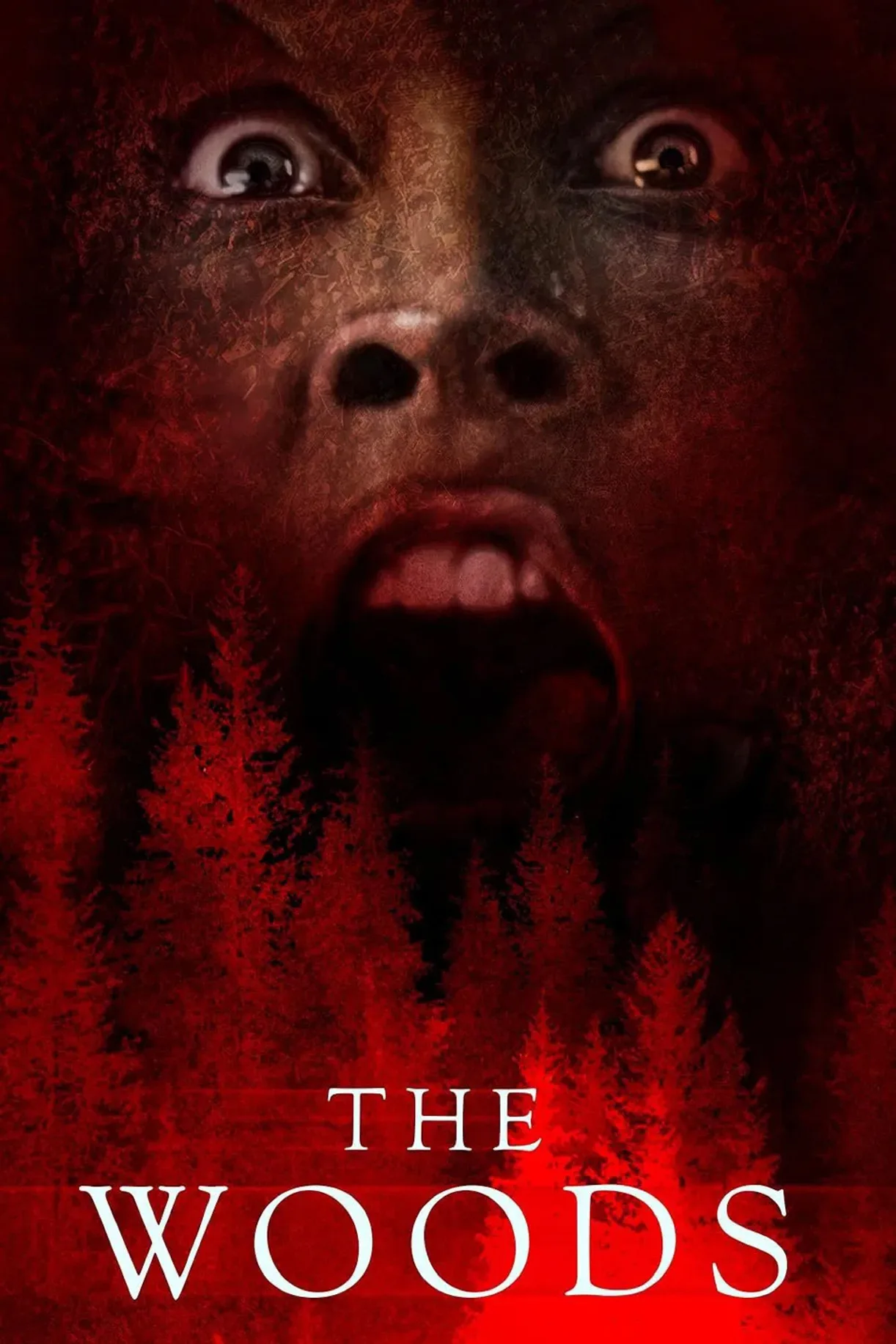 فيلم The Woods 2024 مترجم اون لاين 2024