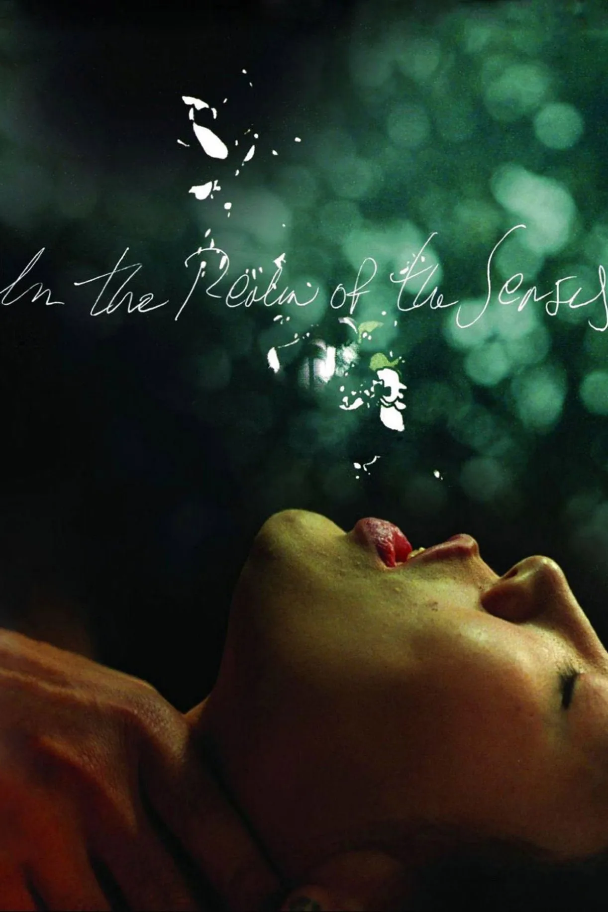 فيلم In the Realm of the Senses 1976 مترجم اون لاين 1976