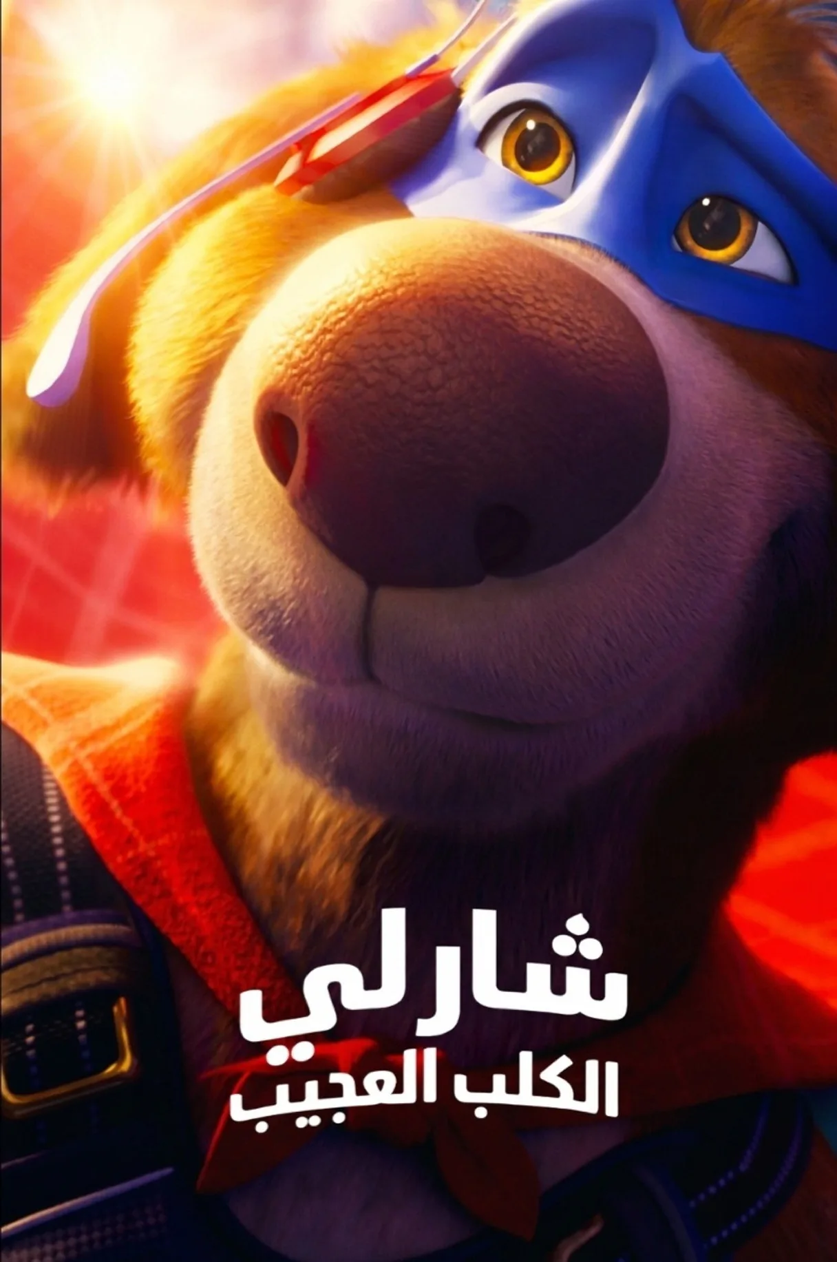 فيلم Charlie the Wonderdog 2025 مترجم اون لاين 2025