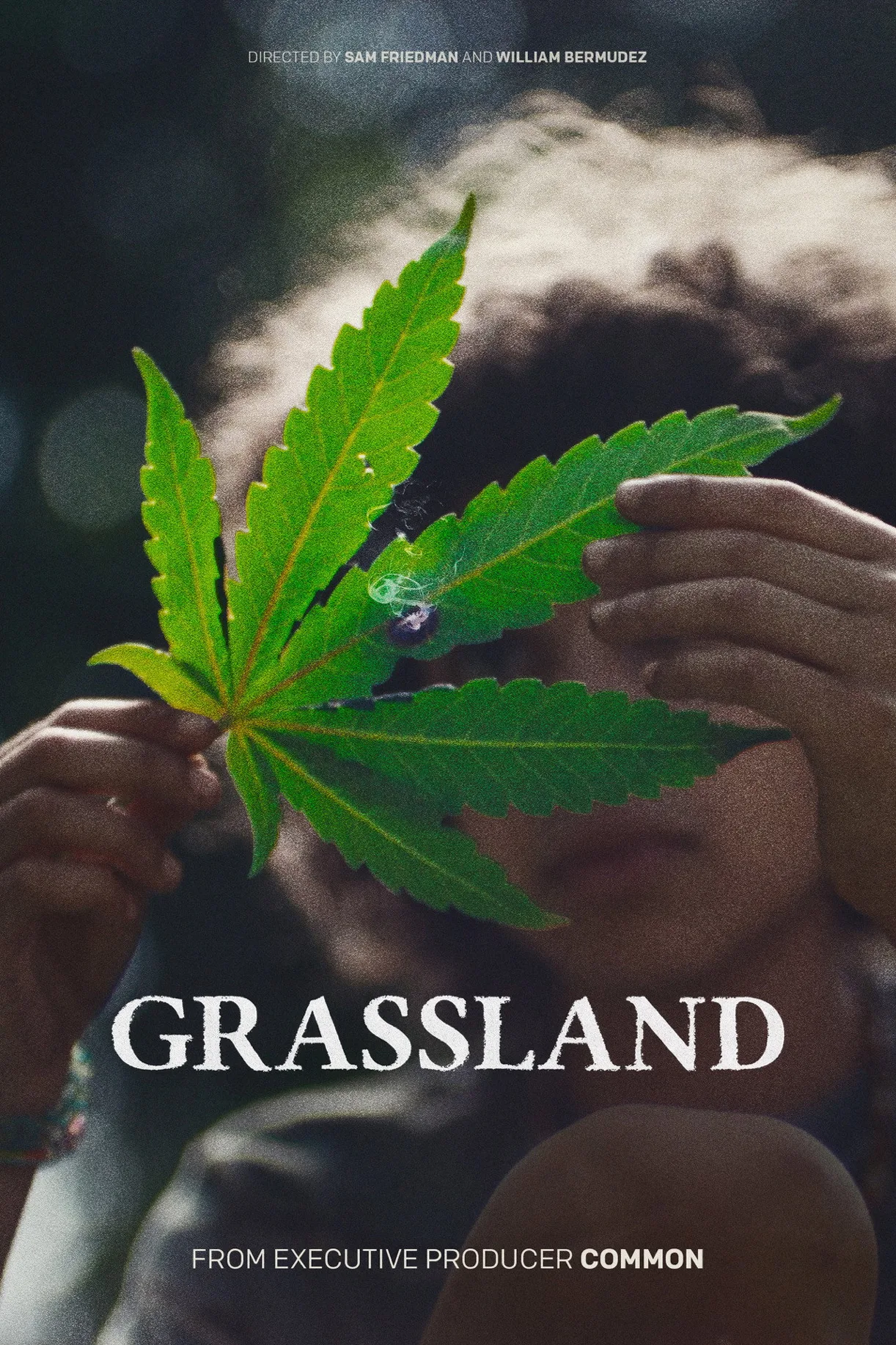 فيلم Grassland 2024 مترجم اون لاين 2025