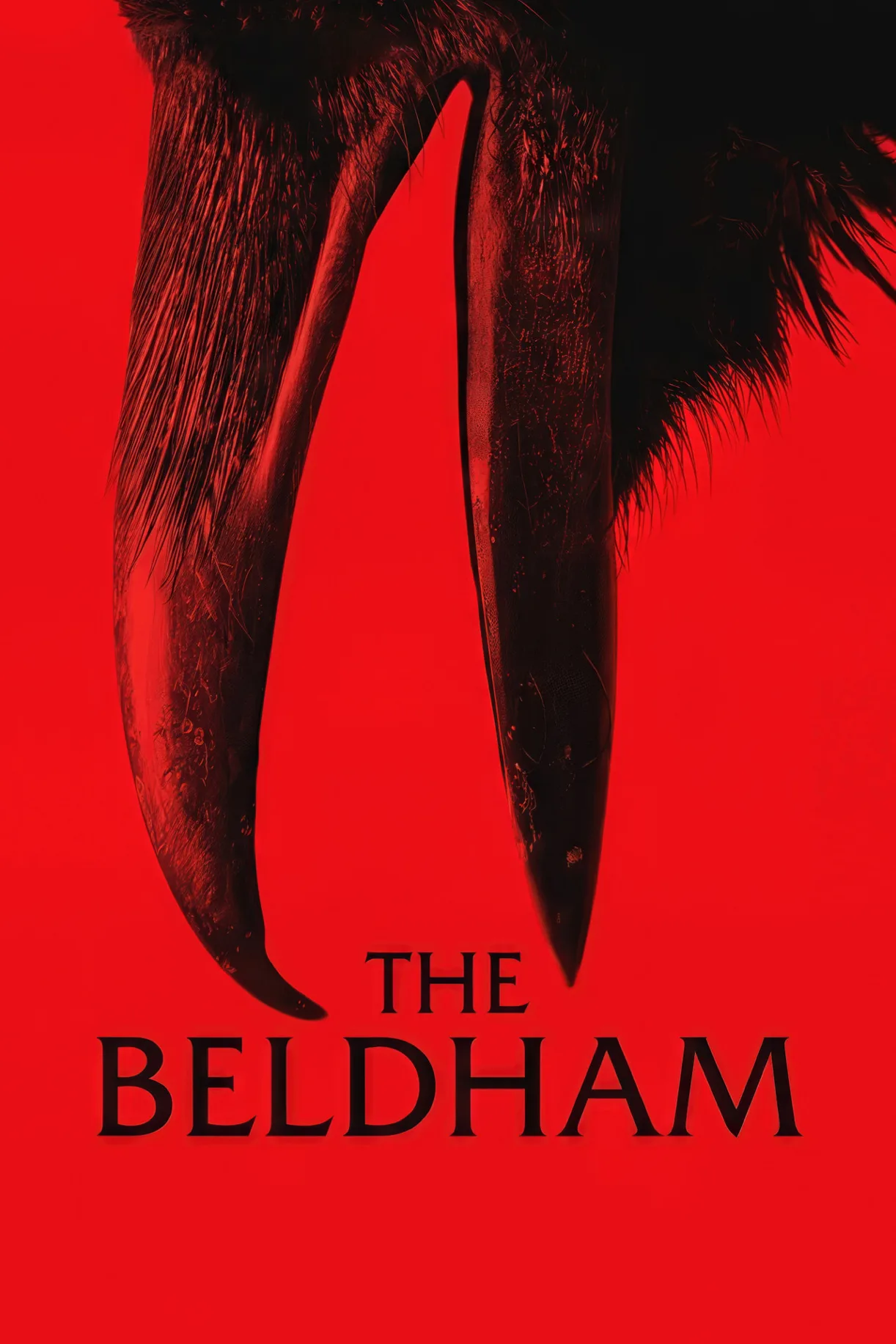 فيلم The Beldham 2024 مترجم اون لاين 2025