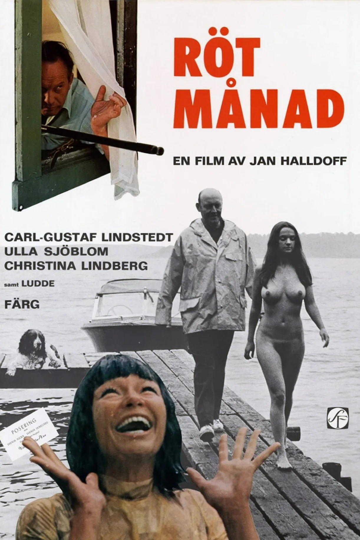 فيلم Dog Days 1970 مترجم اون لاين 1970