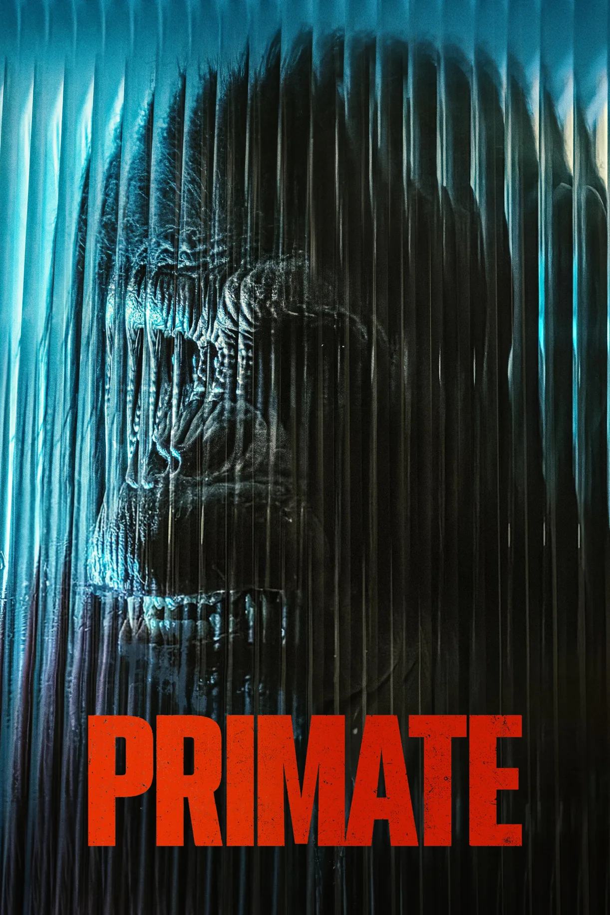 فيلم Primate 2025 مترجم اون لاين 2026